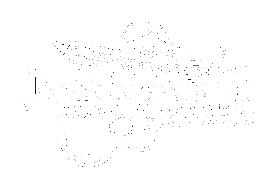 Mariachi Nuevo Capistrano