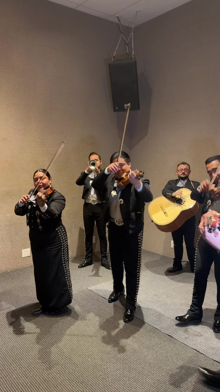 Violinists and guitarist mid-song during a live indoor set